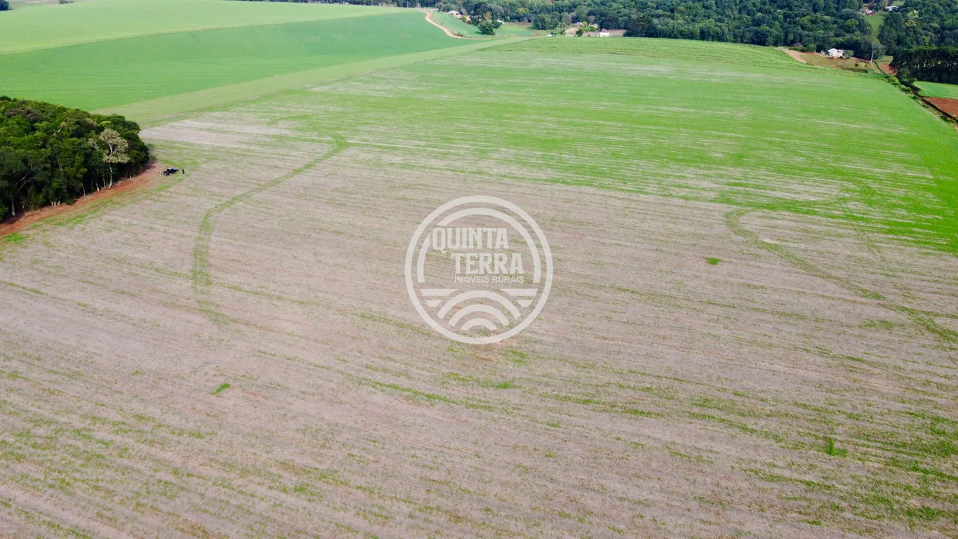Área à Venda com 43ha - foto 15