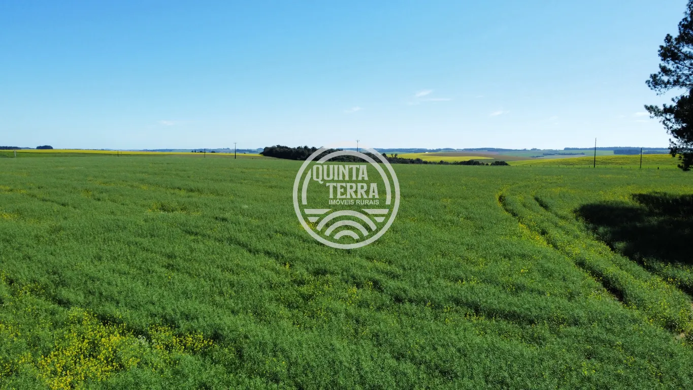 Área à Venda com 180ha - foto 4