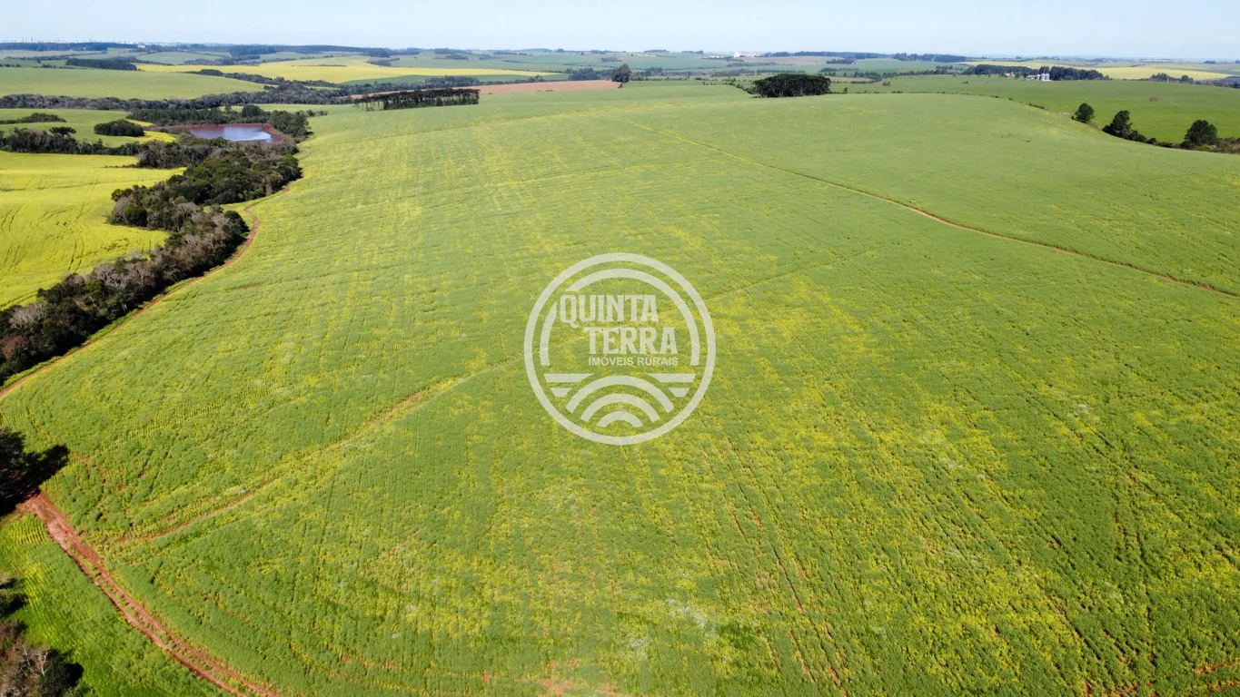Área à Venda com 180ha - foto 12