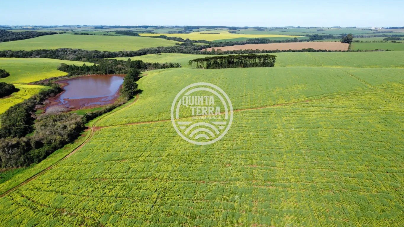 Área à Venda com 180ha - foto 17