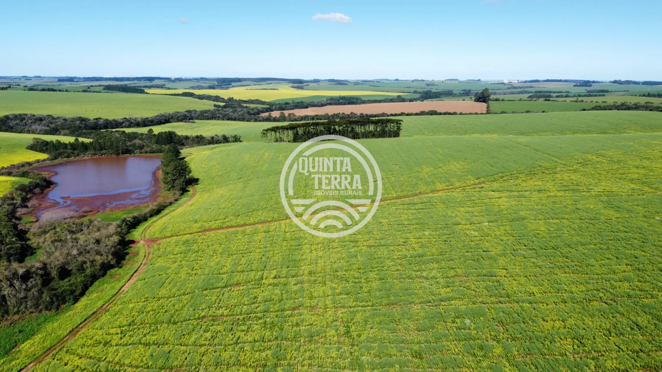 Área à Venda com 180ha - foto 20