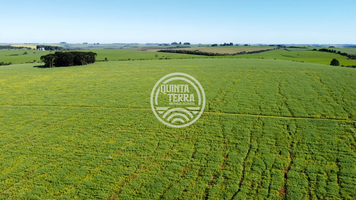 Área à Venda com 180ha - foto 21