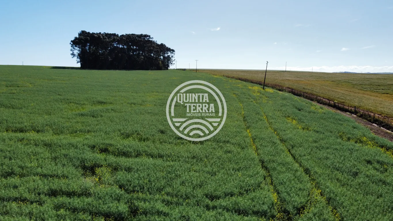 Área à Venda com 180ha - foto 25