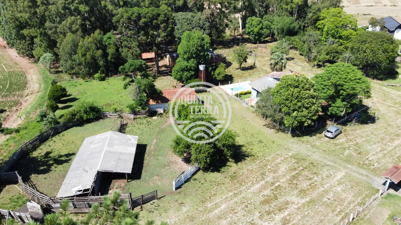 Área à Venda com 6ha - foto 4