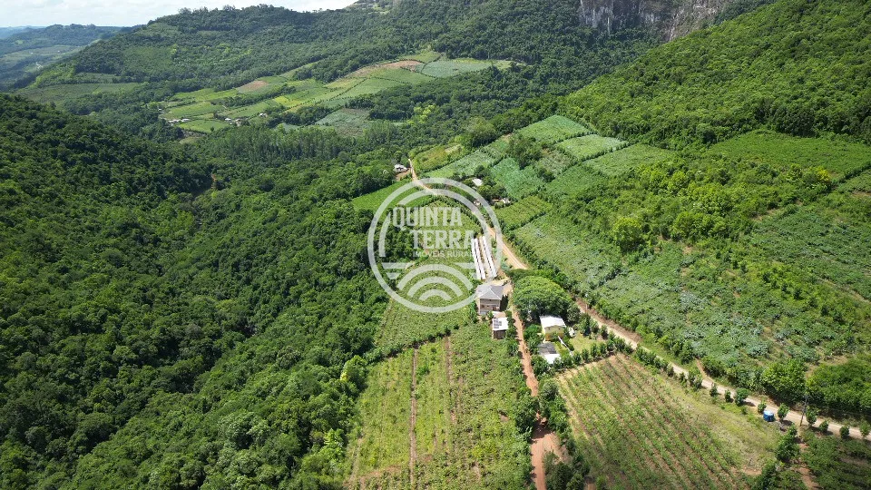 Área à Venda com 5ha - foto 5