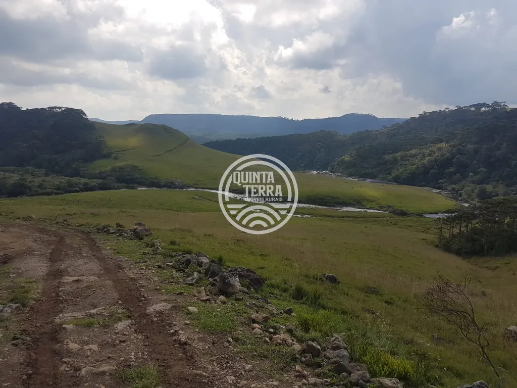 Área à Venda com 20ha - foto 5
