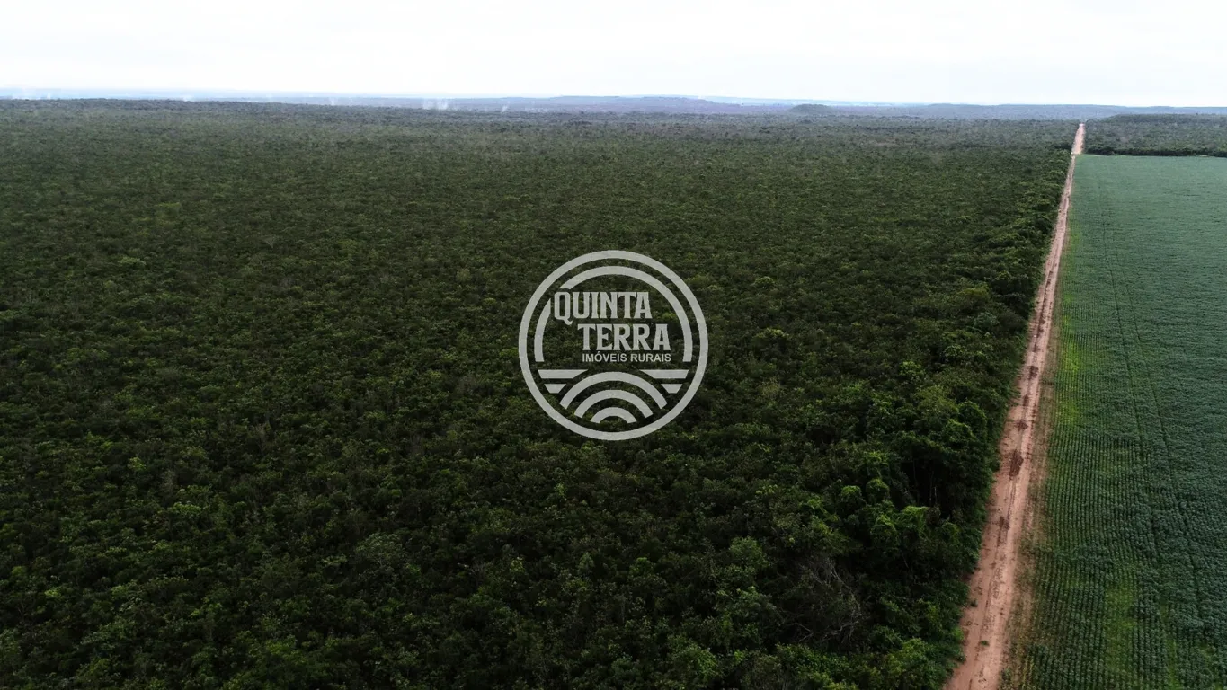 Área à Venda com 563ha - foto 5