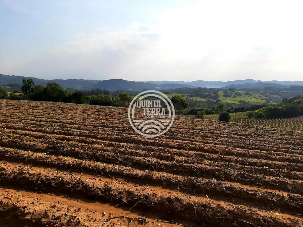 Área à Venda com 12ha - foto 7
