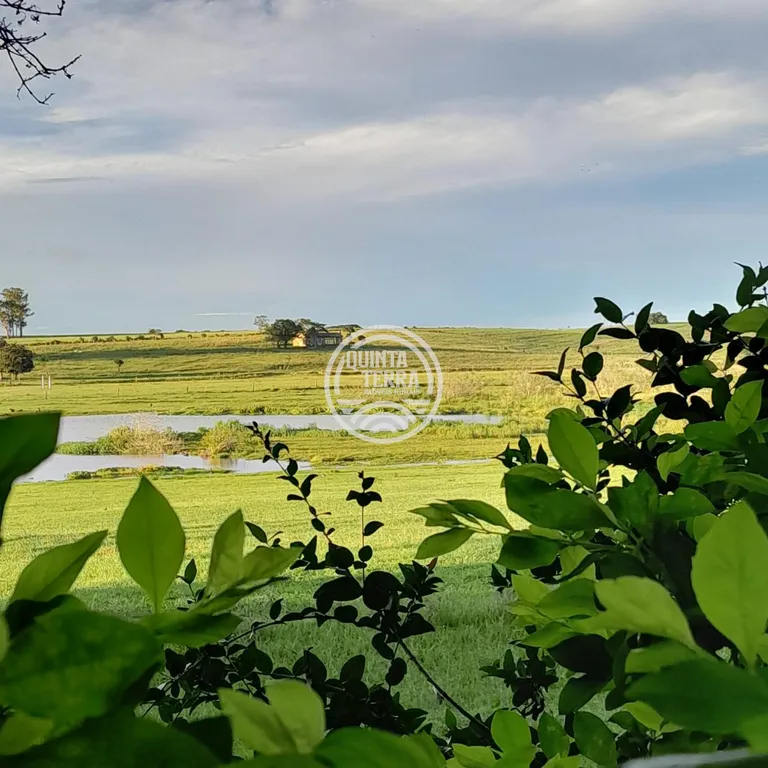 Área à Venda com 98ha - foto 18
