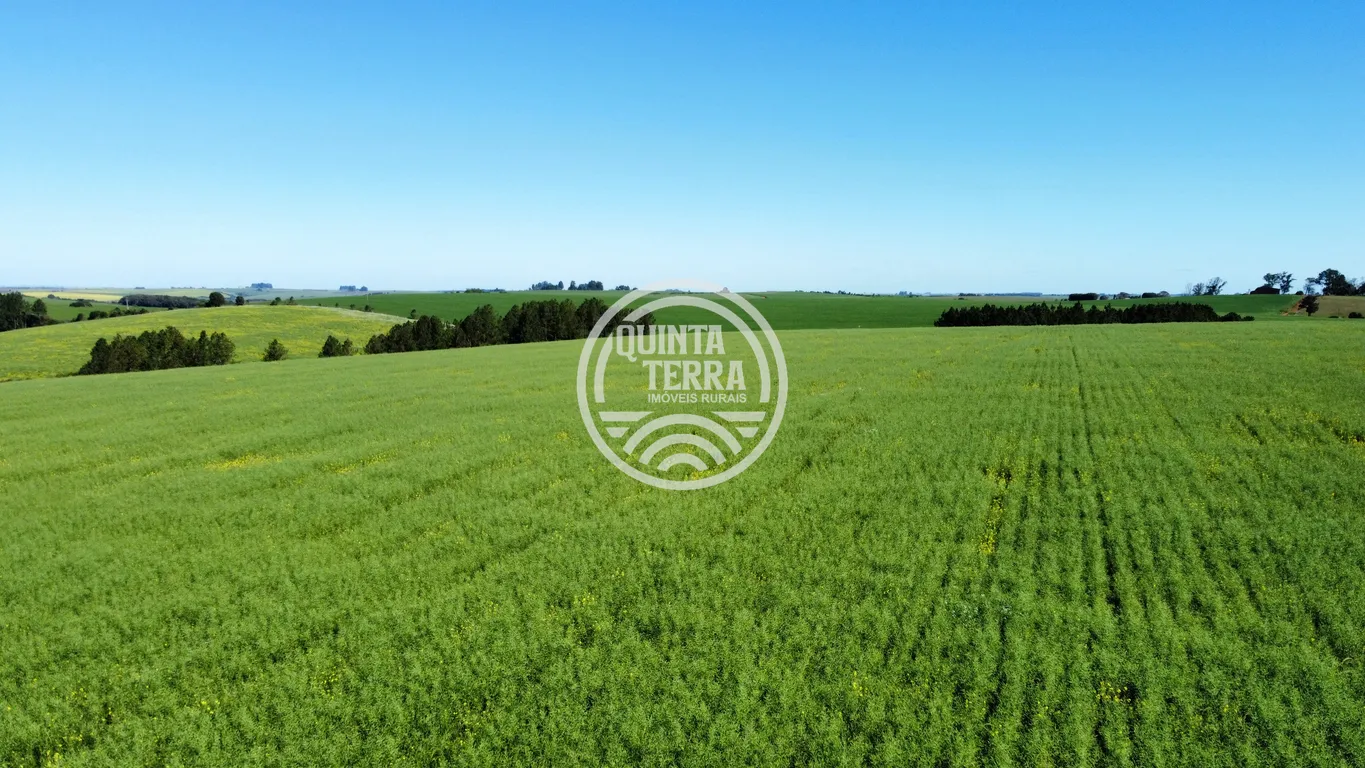 Área à Venda com 180ha - foto 2