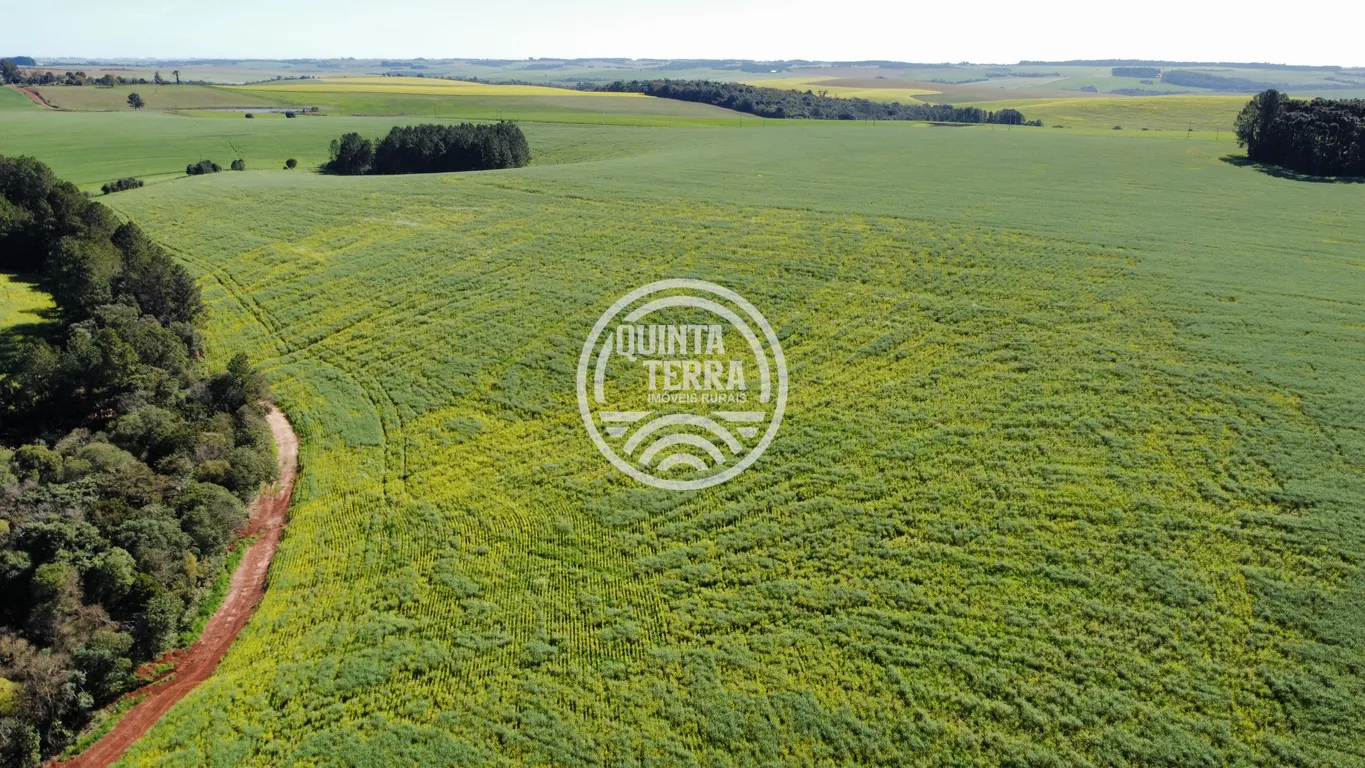 Área à Venda com 180ha - foto 11