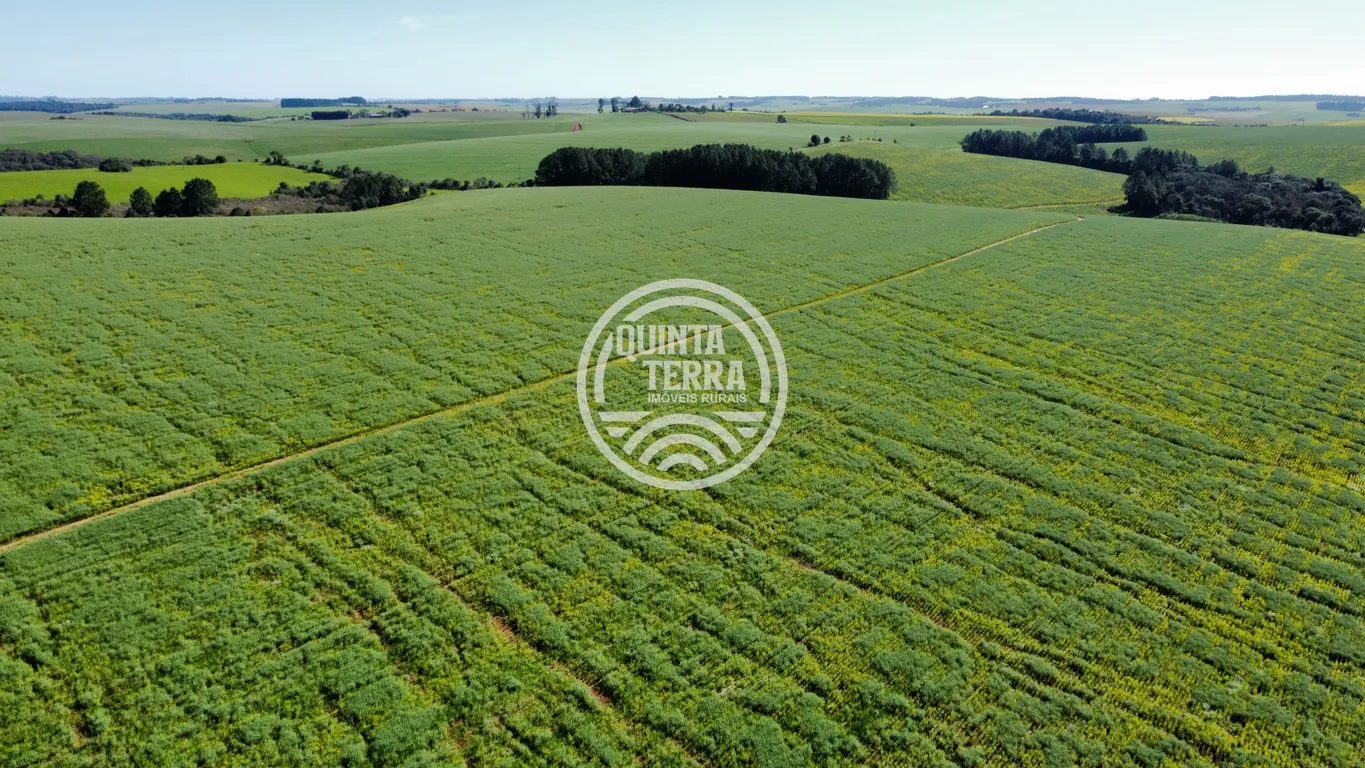 Área à Venda com 180ha - foto 14