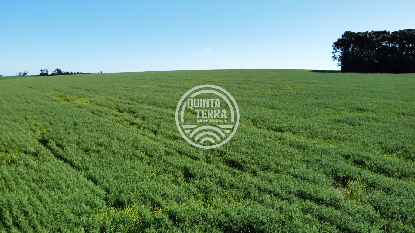 Área à Venda com 180ha - foto 24
