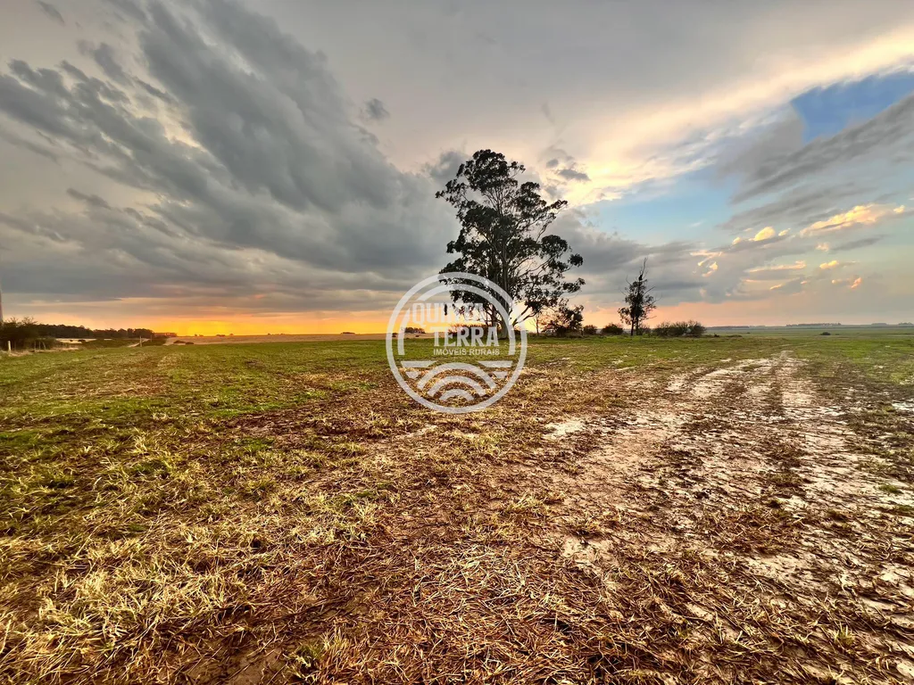 Área à Venda com 264ha - foto 1