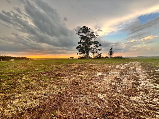 Área à Venda com 264ha Rio Grande do Sul, São Gabriel-RS