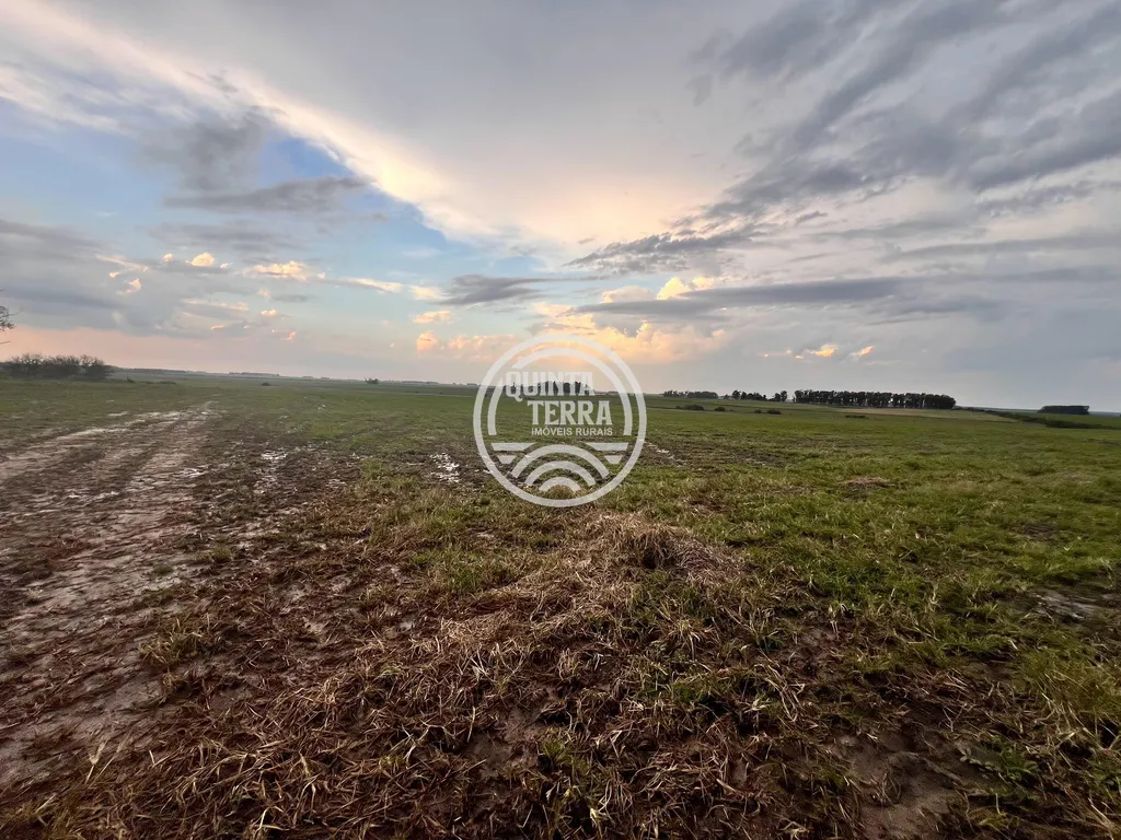 Área à Venda com 264ha - foto 2