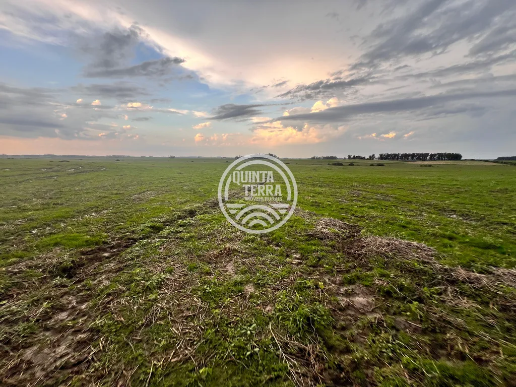 Área à Venda com 264ha - foto 10