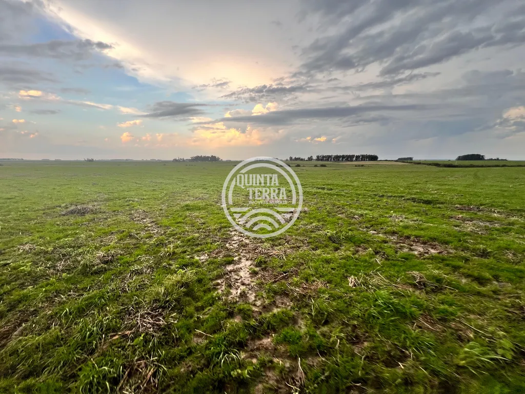 Área à Venda com 264ha - foto 11
