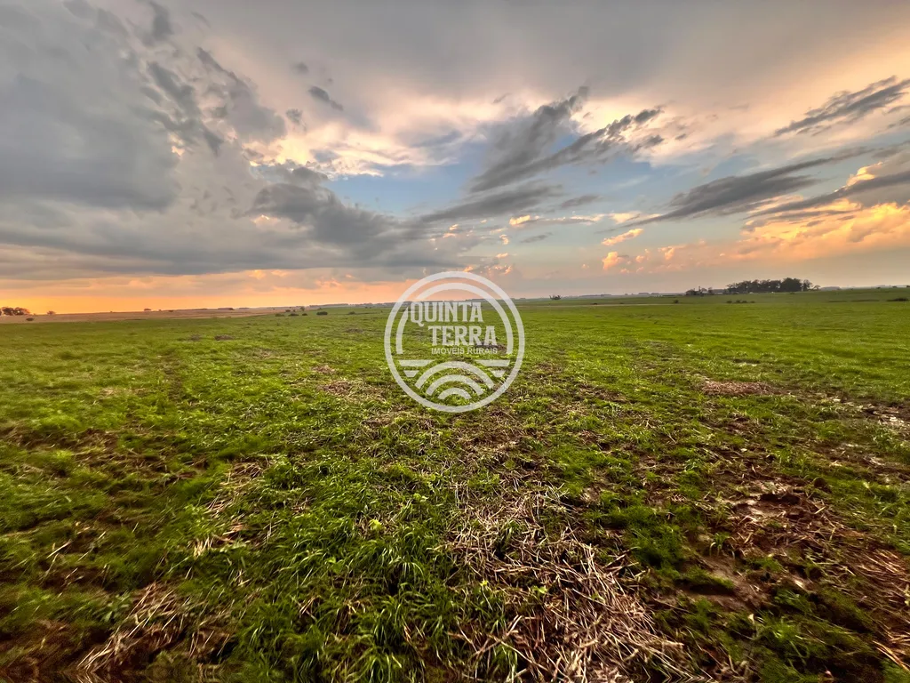 Área à Venda com 264ha - foto 16