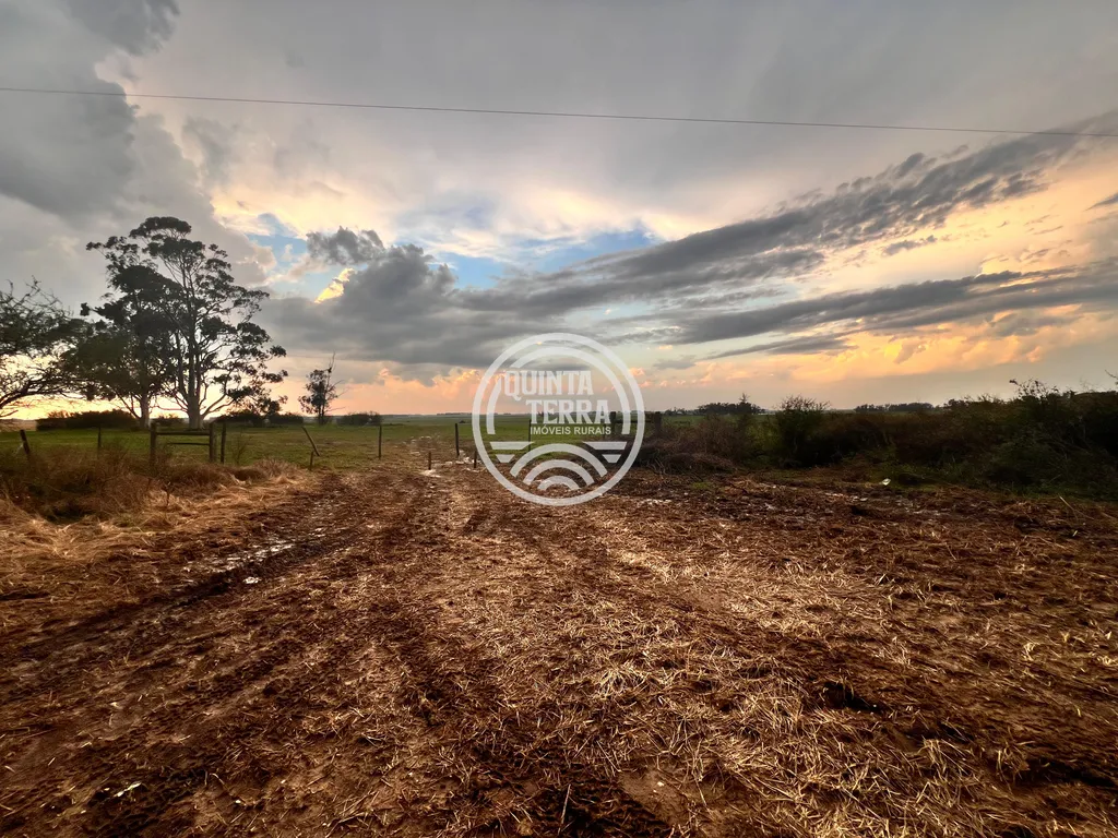 Área à Venda com 264ha - foto 20