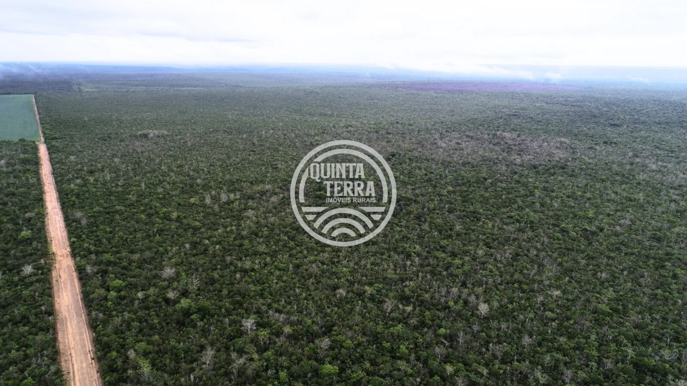 Área à Venda com 563ha - foto 4