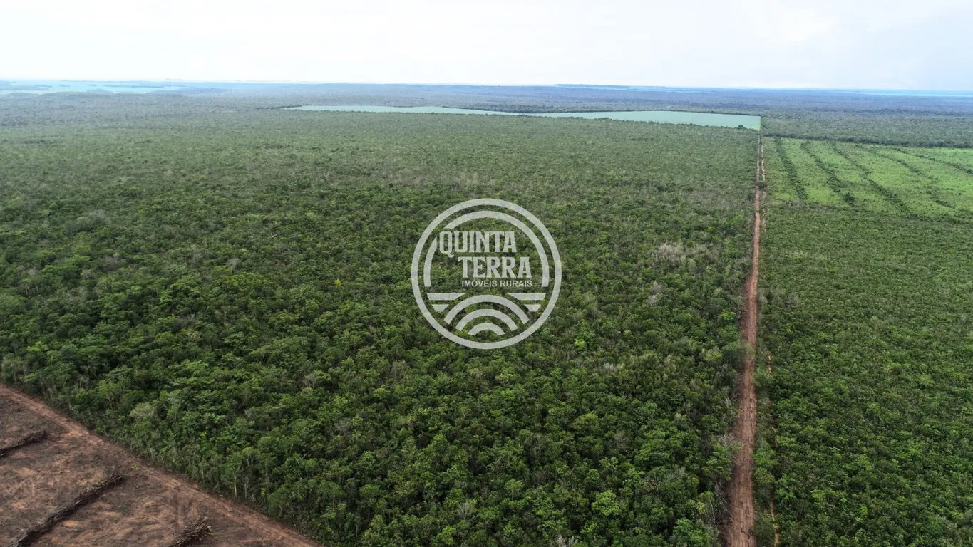 Área à Venda com 563ha - foto 9