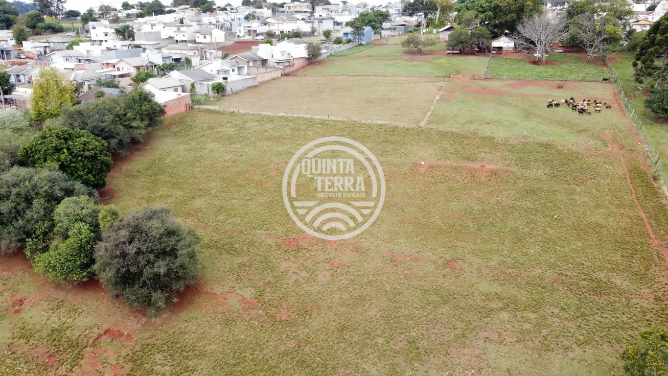 Área à Venda com 3ha - foto 12