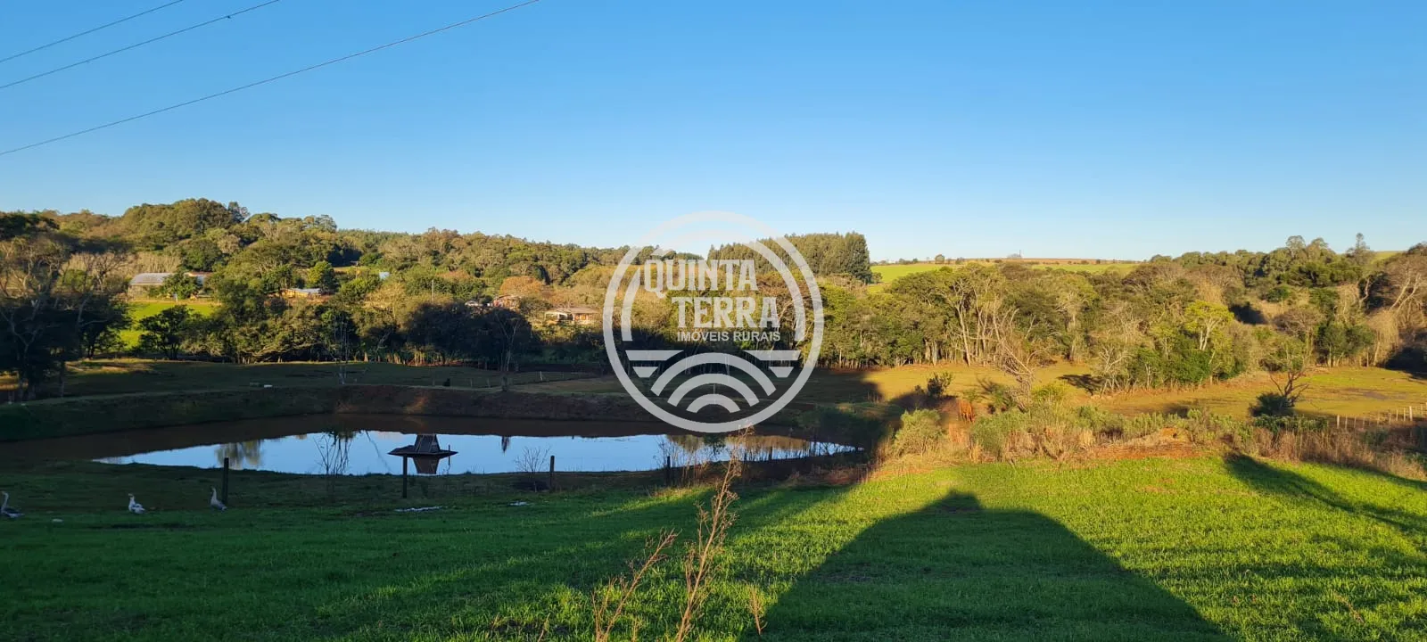 Chácara à Venda com 3ha - foto 5
