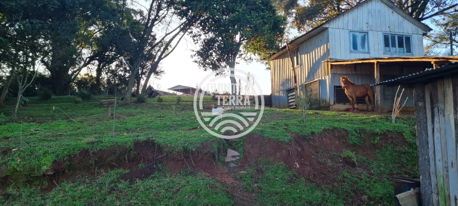 Chácara à Venda com 3ha - foto 8
