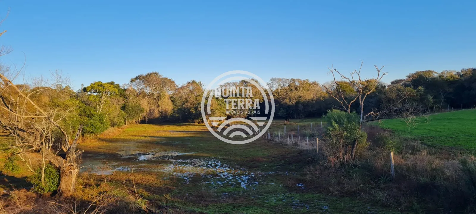 Chácara à Venda com 3ha - foto 6