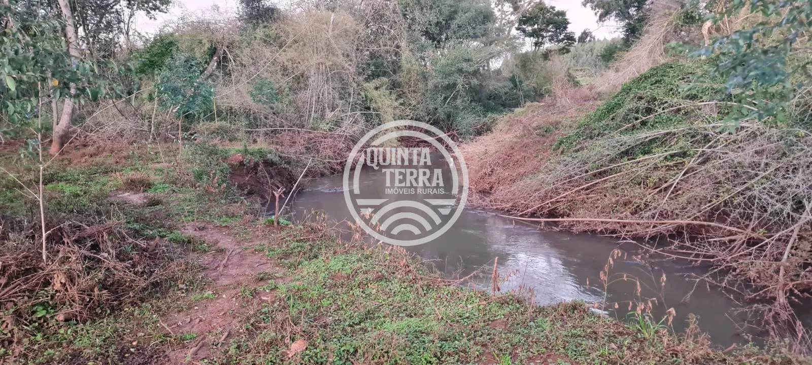 Chácara à Venda com 3ha - foto 13