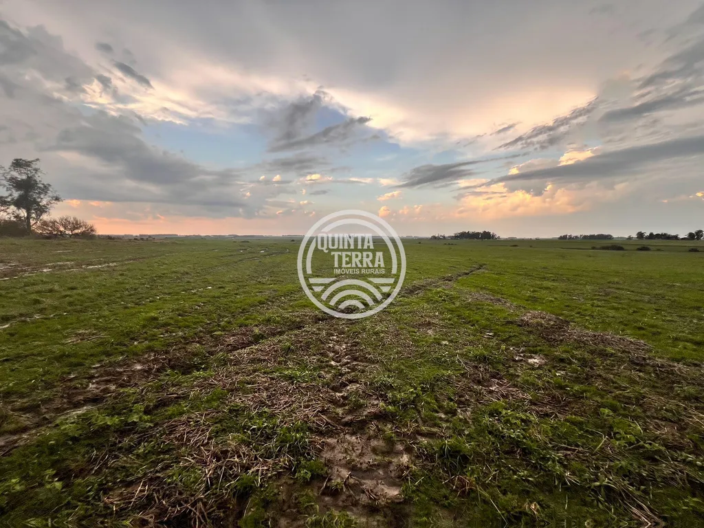 Área à Venda com 264ha - foto 6