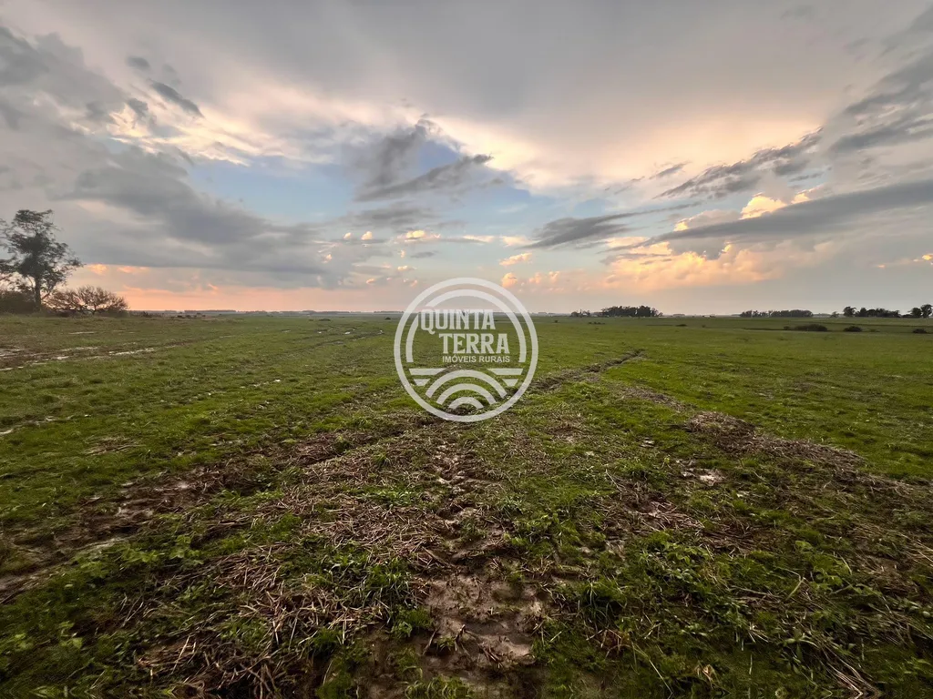 Área à Venda com 264ha - foto 7
