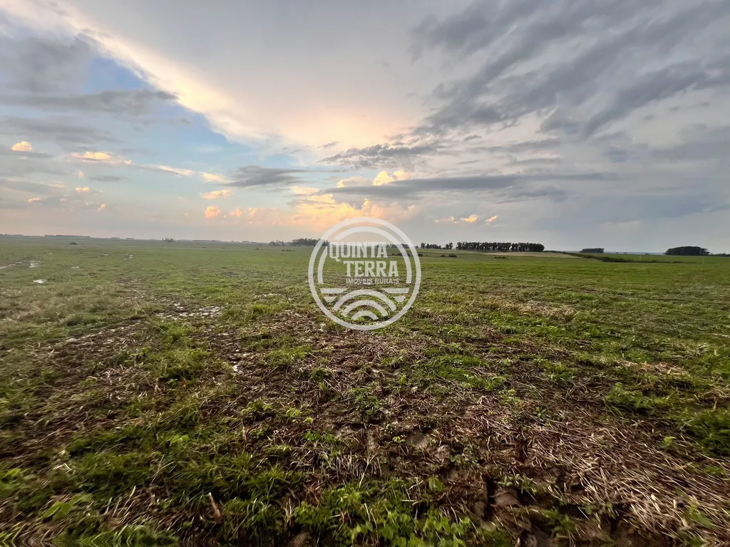 Área à Venda com 264ha - foto 9