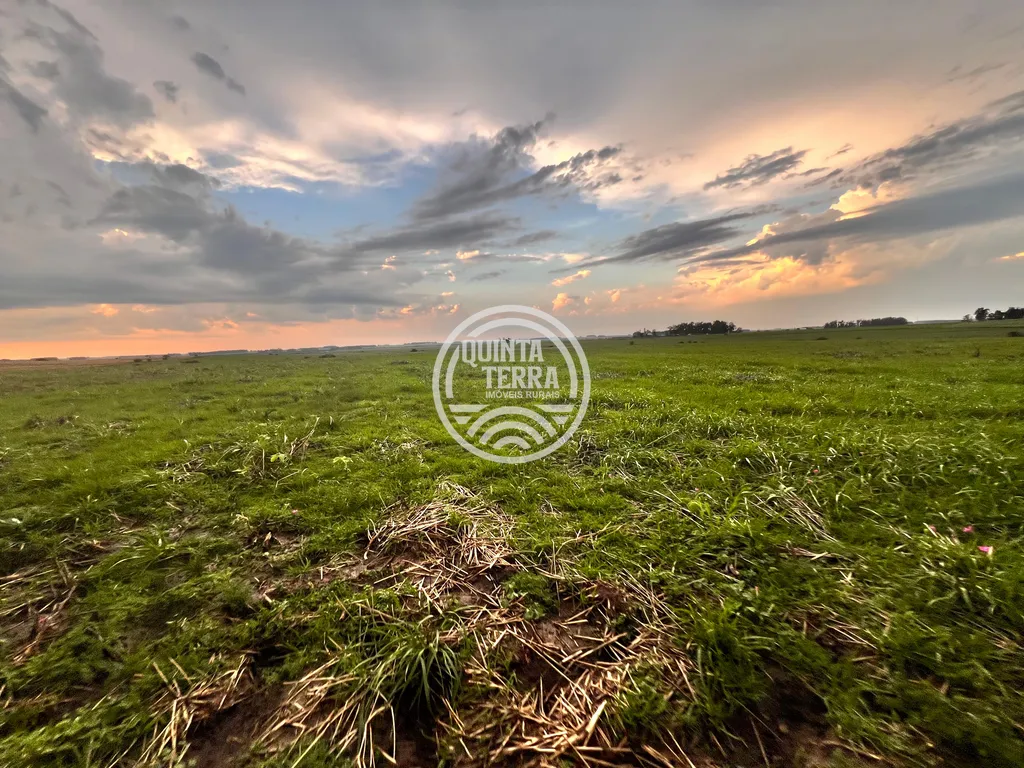Área à Venda com 264ha - foto 18