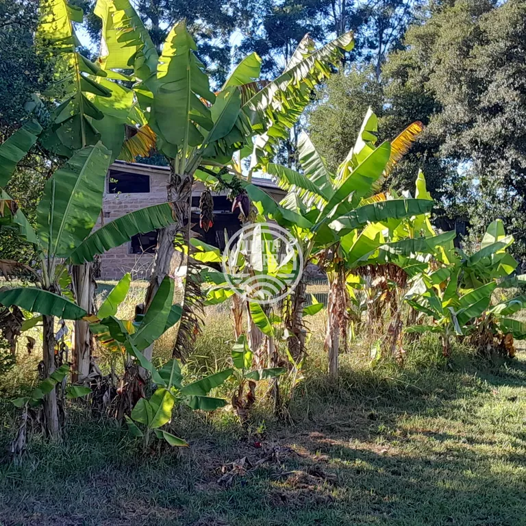 Área à Venda com 98ha - foto 5
