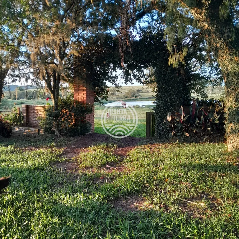 Área à Venda com 98ha - foto 10