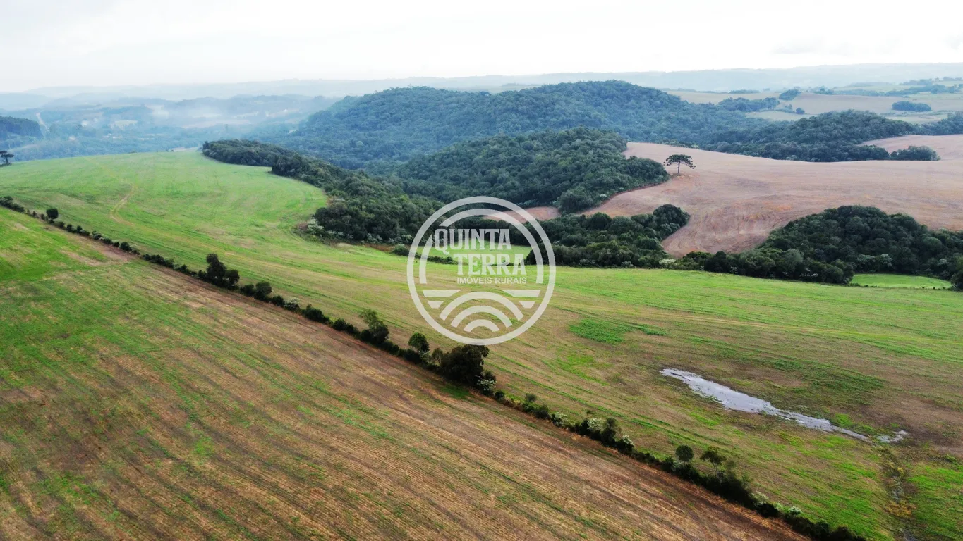 Área à Venda com 226ha - foto 2