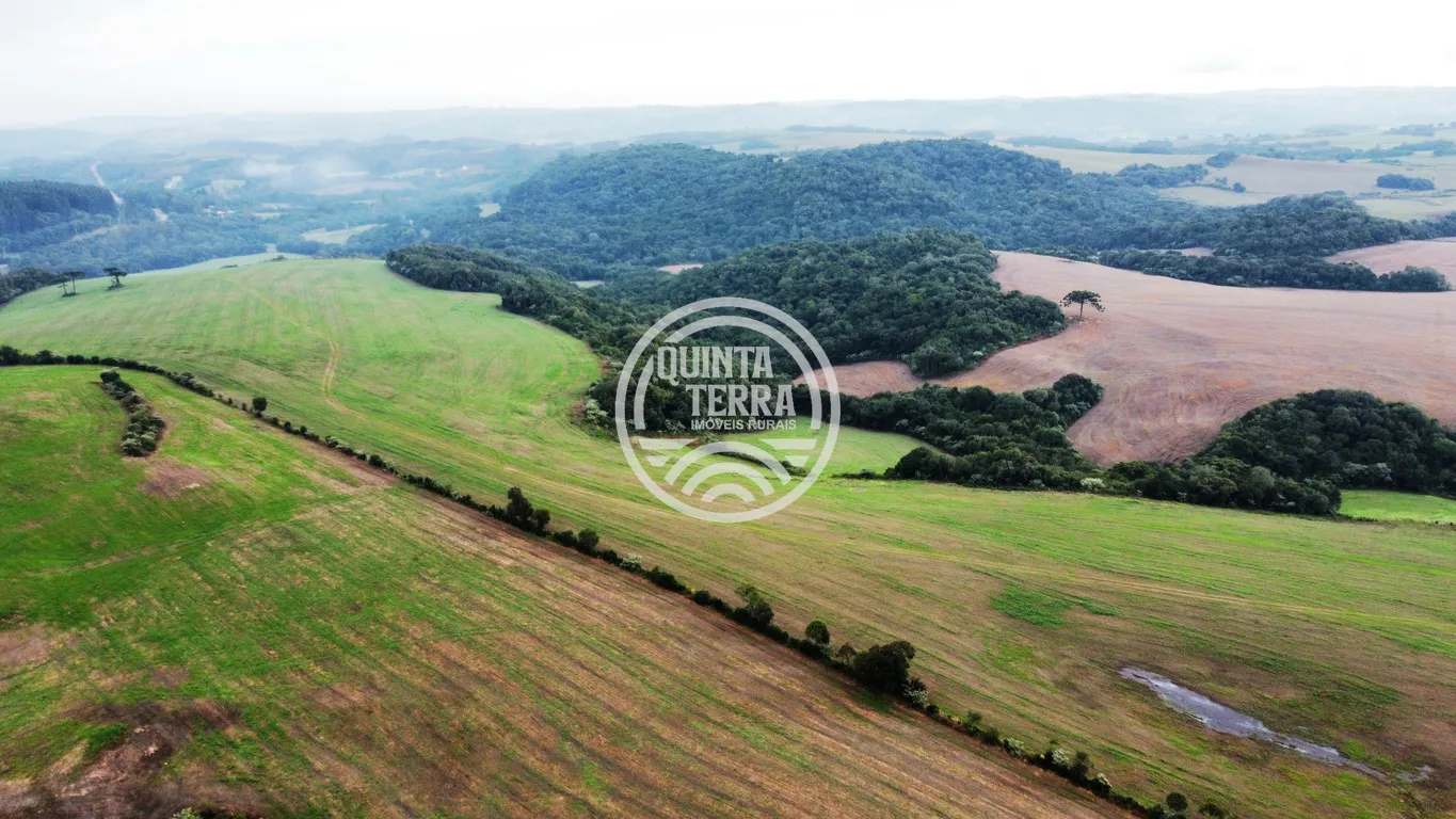 Área à Venda com 226ha - foto 4