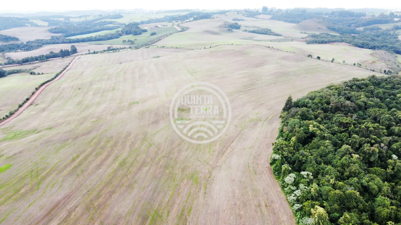 Área à Venda com 226ha - foto 8