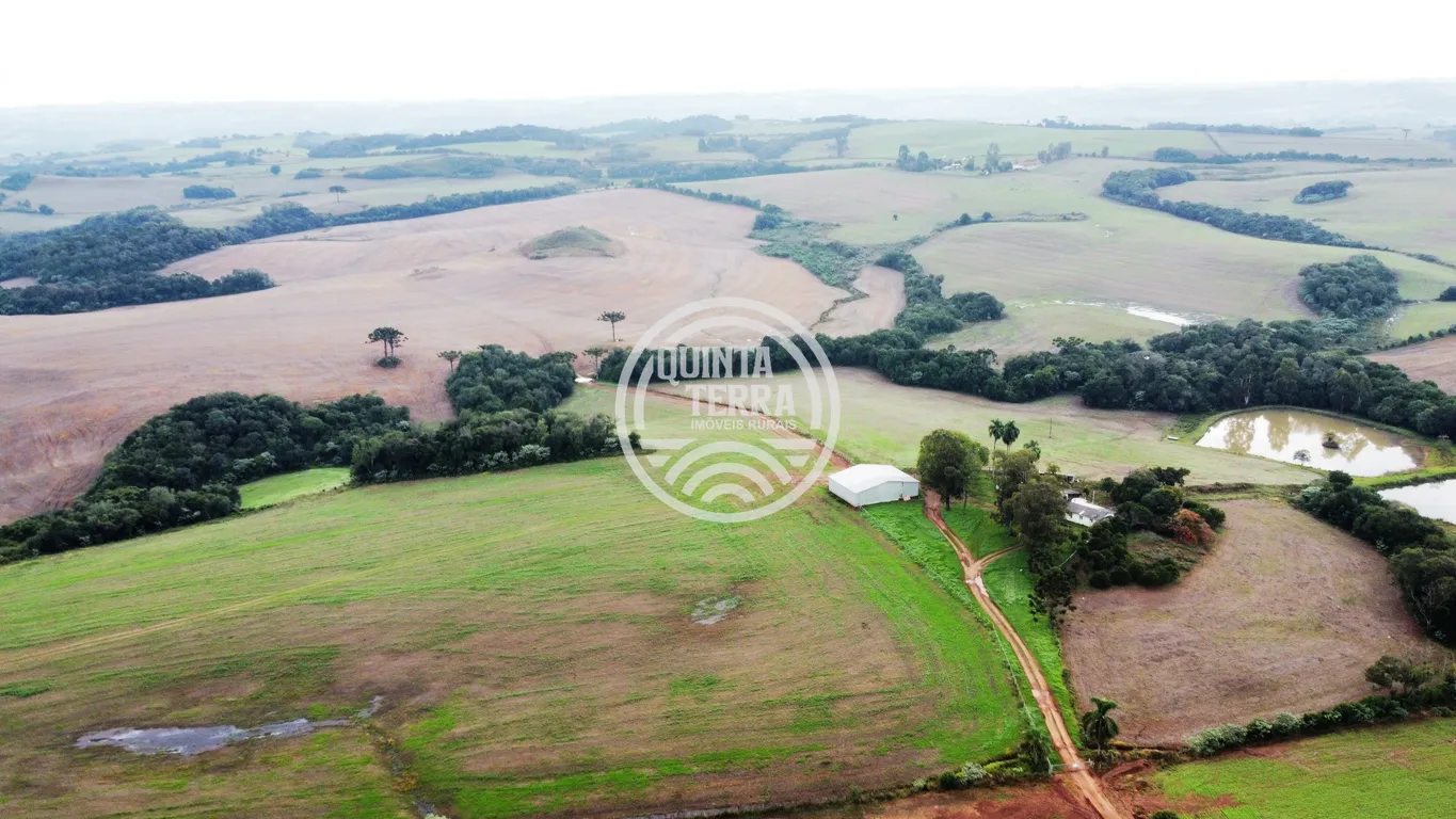 Área à Venda com 226ha - foto 1