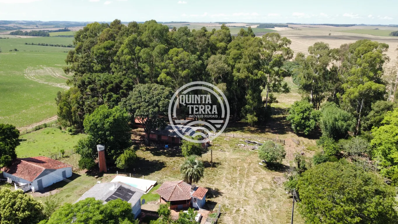 Área à Venda com 6ha - foto 2