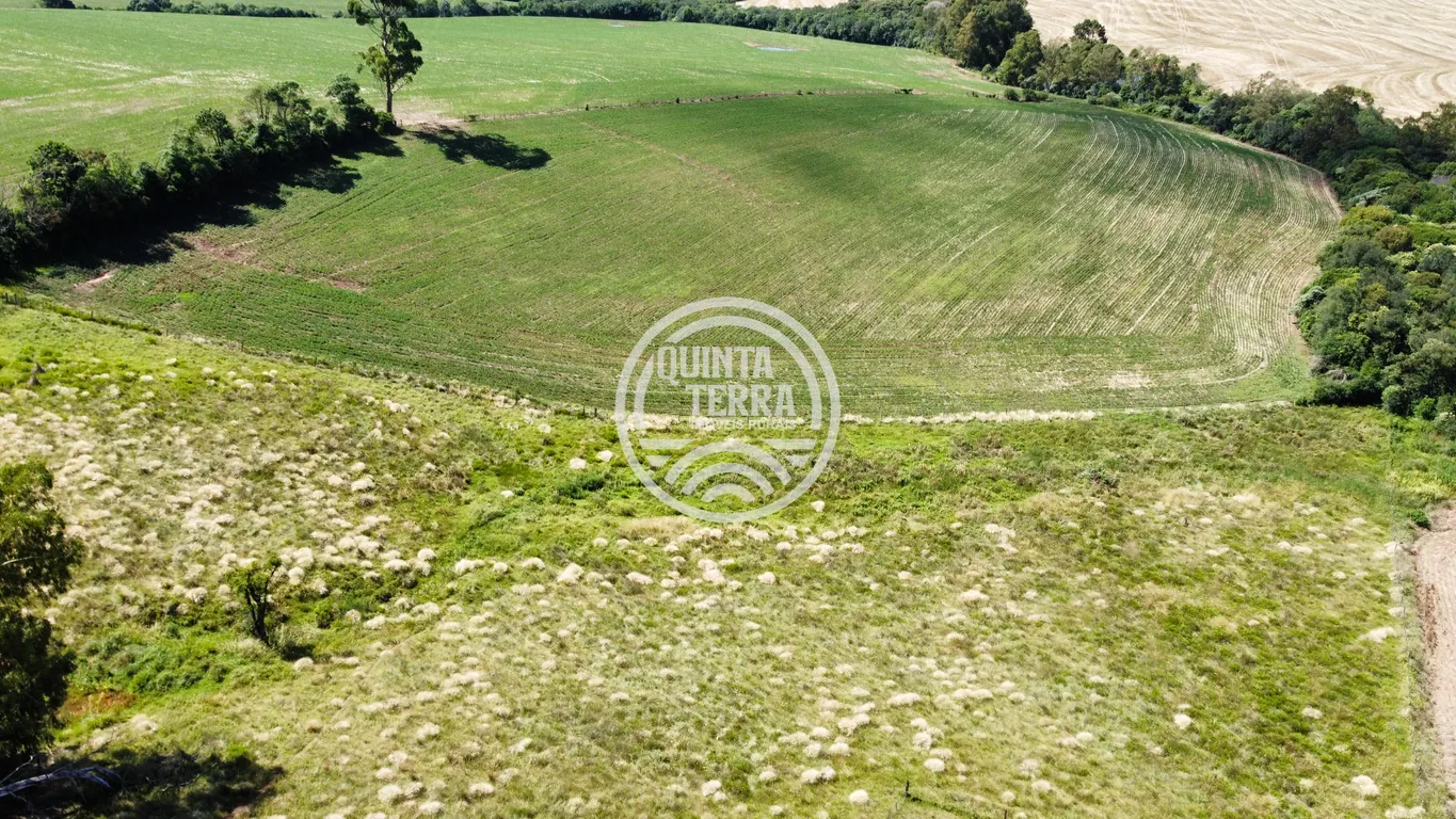 Área à Venda com 6ha - foto 10