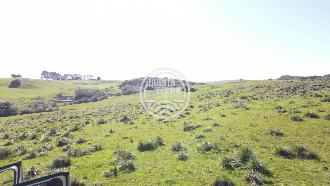 Área à Venda com 57ha - foto 3