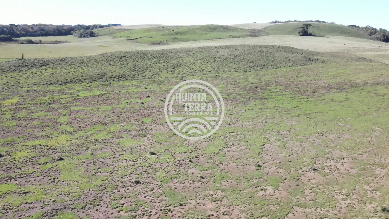 Área à Venda com 57ha - foto 5
