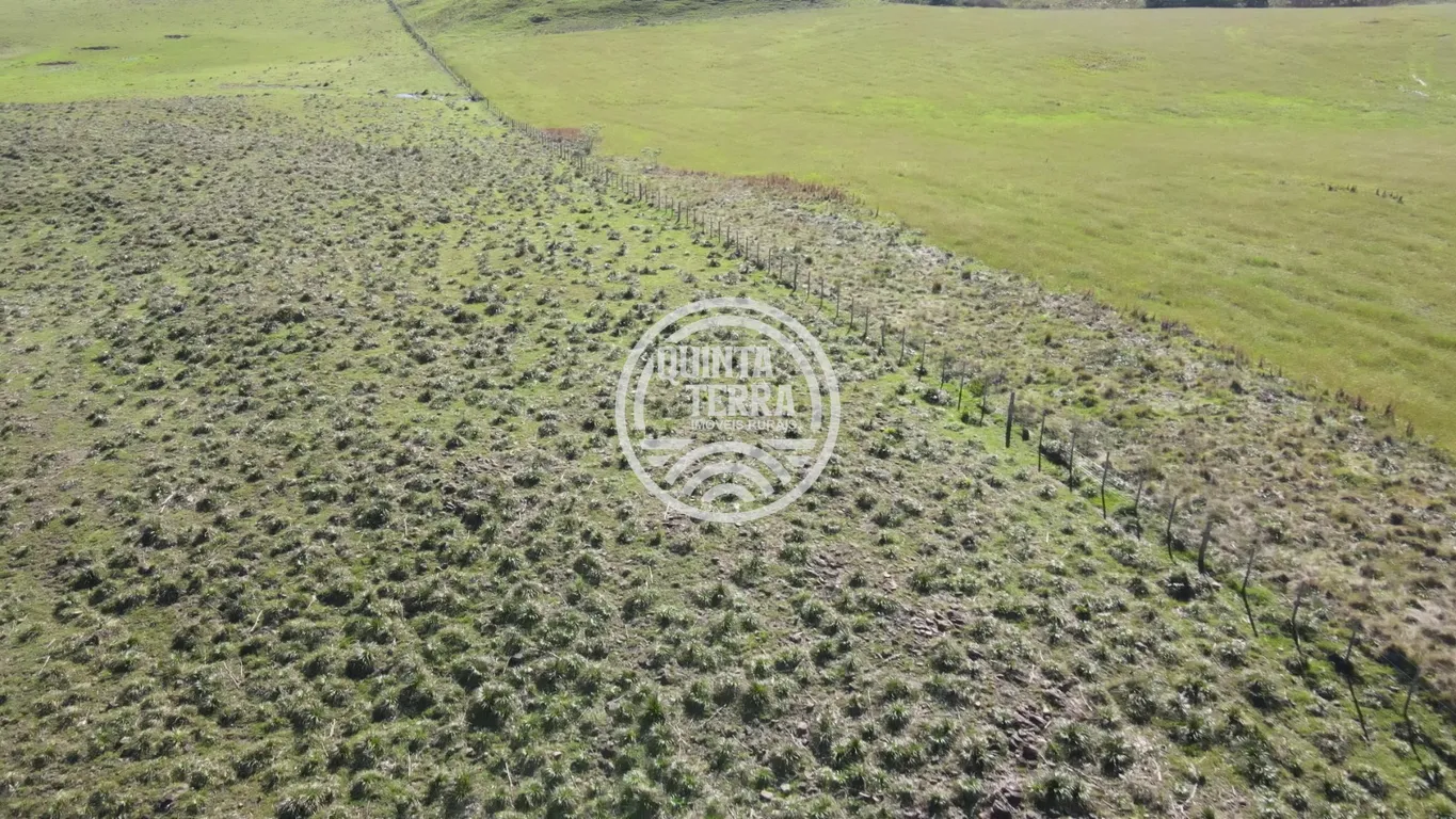 Área à Venda com 57ha - foto 7