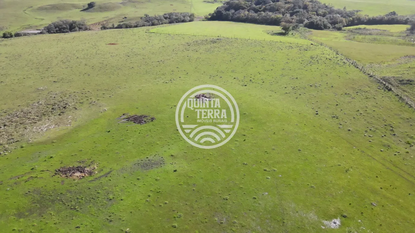 Área à Venda com 57ha - foto 9