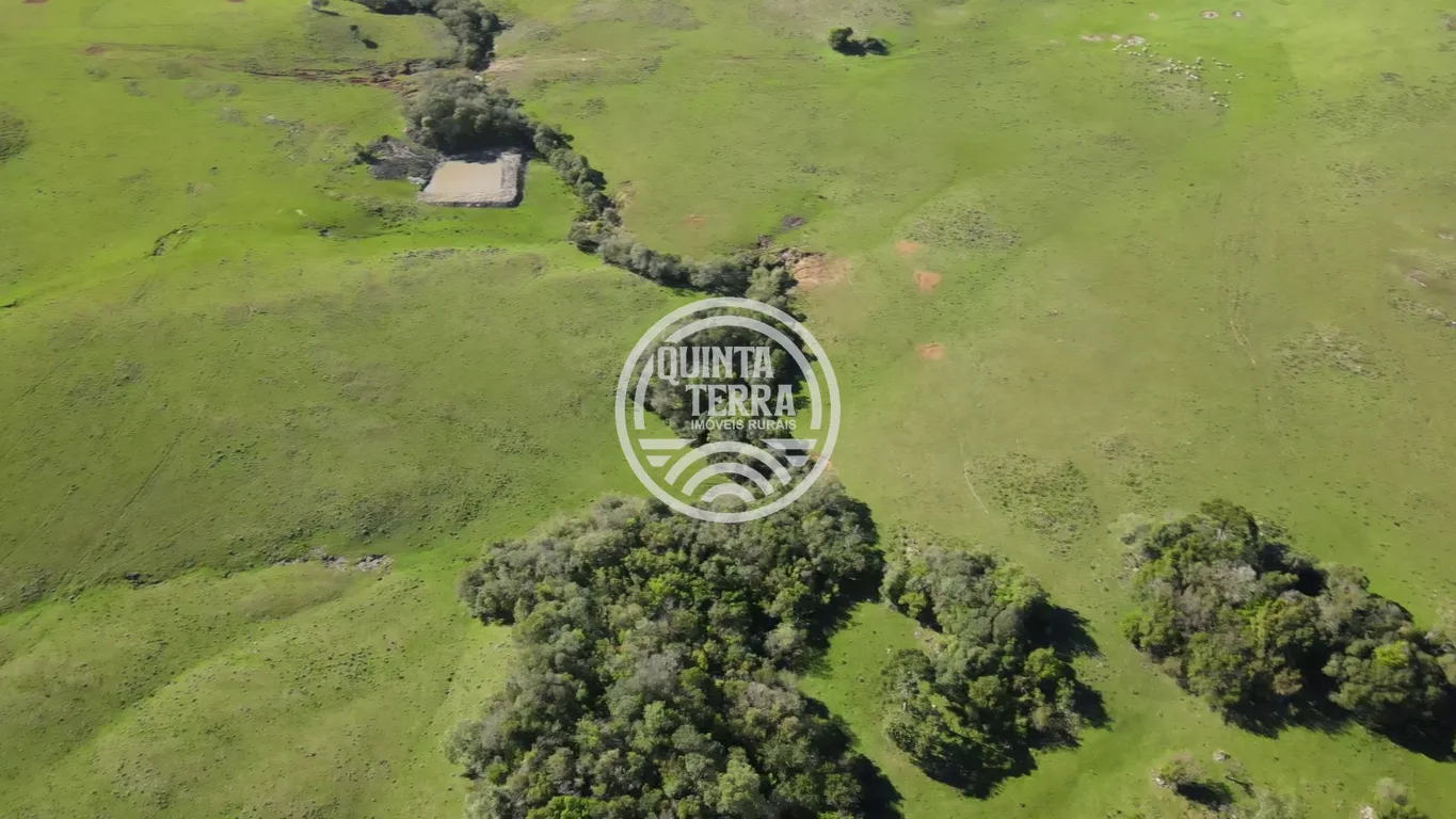 Área à Venda com 57ha - foto 11