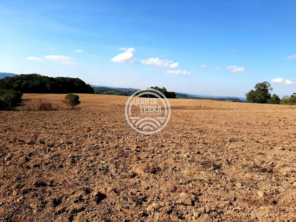 Área à Venda com 12ha - foto 1