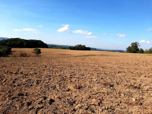 Área à Venda com 12ha Mariana, Mariana Pimentel-RS